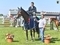 David Harland & Murchacko Quatro win the Scottish Branch Outdoor Open Championship 2025